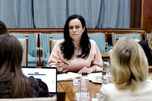 Ministrul Muncii: În România se vorbeşte prea puţin despre violenţa şi hărţuirea la locul de muncă / Mai grav este că, din păcate, femeile se confruntă cel mai des cu aceste comportamente / Ce domenii sunt implicate în ratificarea Convenţiei 190