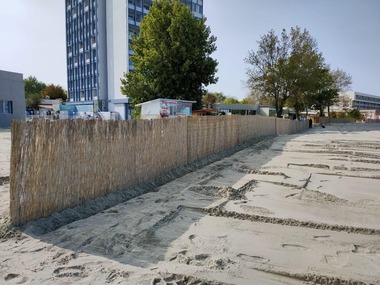 A început montarea panourilor de stuf care împiedică nisipul să fie spulberat pe plajele din Mamaia, Constanţa, Costineşti şi Eforie 