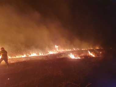 Dolj: Peste 30 de hectare de vegetaţie uscată au ars într-un incendiu - VIDEO