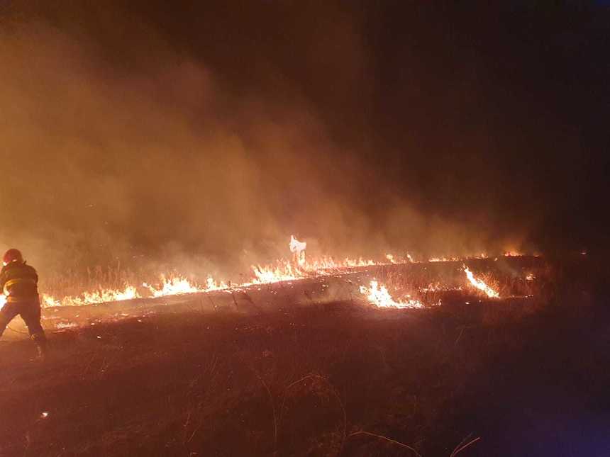 Dolj: Peste 30 de hectare de vegetaţie uscată au ars într-un incendiu - VIDEO