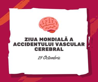 Ministerul Sănătăţii anunţă că se schimbă radical abordarea tratamentului şi recuperării pacienţilor cu accident vascular cerebral/ Anumite categorii de pacienţi vor  fi ajutate să-şi recâştige mobilitatea