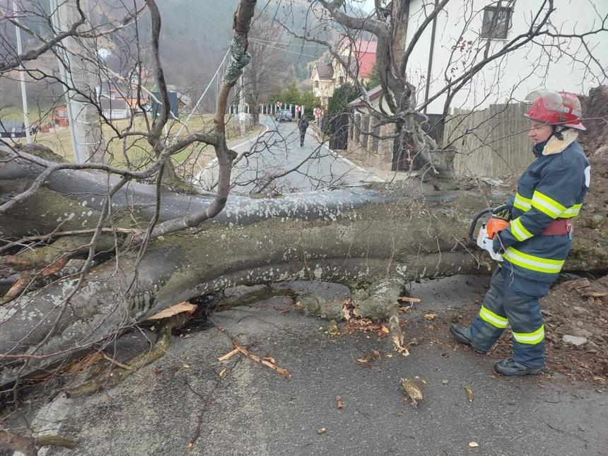 Zeci de intervenţii al pompierilor, duminică dimineaţă, în Bucureşti, pentru îndepărtarea copacilor doborâţi de vânt şi a unor elemente de construcţie desprinse de rafale