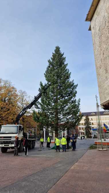 Bradul de Crăciun, montat la Târgu Jiu / Iluminatul festiv va fi pornit în 1 decembrie