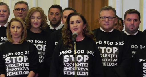 Intotero, de Ziua Internaţională pentru Eliminarea Violenţei Împotriva Femeilor: După  25 noiembrie fiecare ţară are posibilitatea, timp de 10 zile să organizeze evenimente prin care să conştientizeze populaţia cu privire la stoparea violenţei domestice