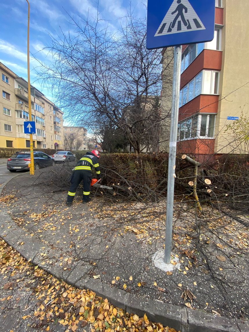 Copaci căzuţi şi elemente de construcţie desprinse, din cauza vântului, la Braşov / Autorităţile informează că nu au fost raportate victime - FOTO