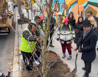 Nicuşor Dan a anunţat că Primăria Capitalei va planta 280 de copaci 