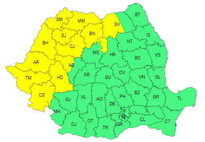 Cod galben de ploi, în Banat, Crişana, Maramureş, vestul şi nordul Transilvaniei, Carpaţii Occidentali, nordul Carpaţilor Orientali şi vestul Carpaţilor Meridionali