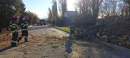 Giurgiu: Copaci rupţi de vântul puternic, în mai multe zone / Pe un drum judeţean, o creangă a unui arbore de mari dimensiuni a căzut peste un autoturism în care se aflau două persoane - FOTO