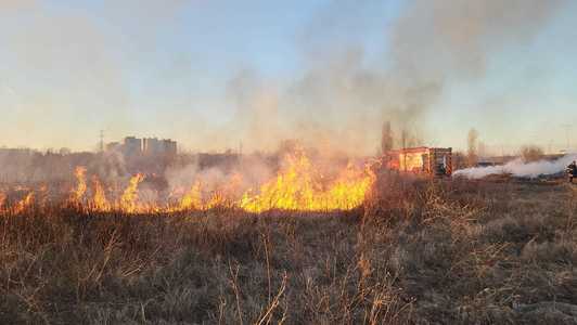 Şapte hectare de teren, cuprinse de un incendiu / Zona se află în proximitatea Sălii Polivalente din municipiul Giurgiu - VIDEO, FOTO 