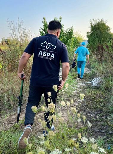 Nicuşor Dan: Peste 2.000 de câini au fost ridicaţi anul acesta de către ASPA de pe străzile Municipiului Bucureşti / Colaborarea cu cetăţenii este esenţială


