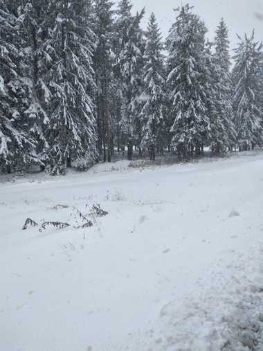 UPDATE - Cod galben de vânt puternic, în judeţele Vrancea, Covasna, Bacău, Suceava şi Neamţ