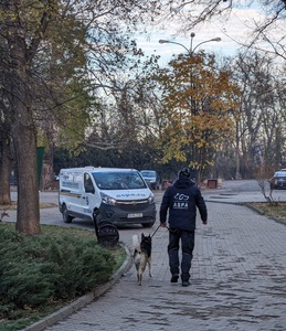 ASPA Bucureşti, recomandări pentru proprietarii de câini care şi-au pierdut animalele de sărbători/ Ce pot face persoanele ai căror câini nu sunt microcipaţi