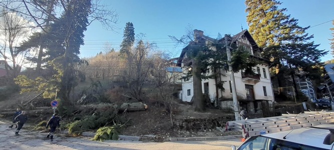 Intervenţii ale autorităţilor din Sinaia, după ce vântul puternic a doborât stâlpi care susţin cablurile de electricitate / Zeci de gospodării au rămas fără curent electric - FOTO