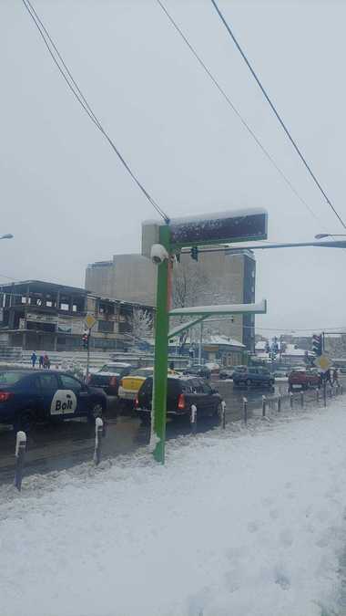 Angajaţii MAI au intervenit în patru judeţe şi în Bucureşti pentru a debloca şapte autovehicule înzăpezite, a îndepărta 98 de copaci şi trei stâlpi de electricitate/ 80 de autoturisme şi o casă, avariate