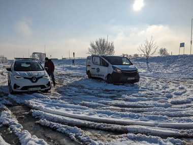ASPA: În aceste zile friguroase de iarnă capturăm tot mai mulţi câini folosind cuştile capcană / 108 câini preluaţi din Capitală de la începutul anului

