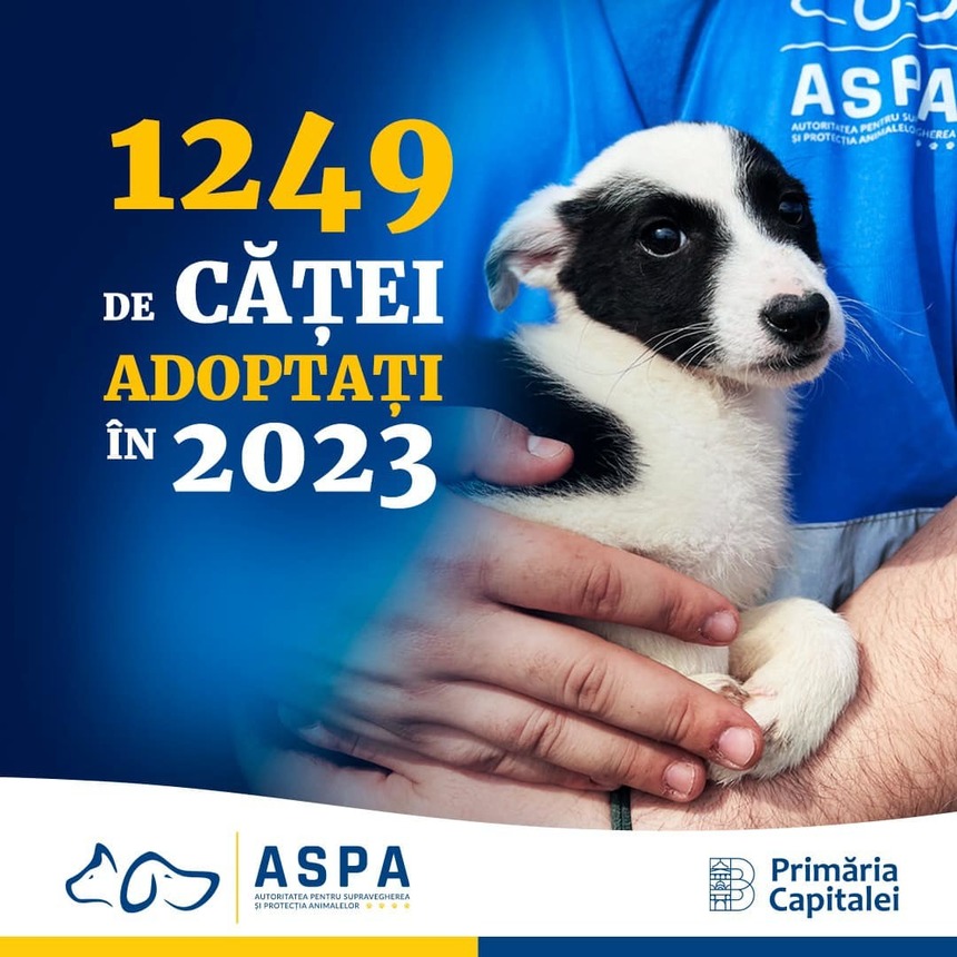 Nicuşor Dan:  1.249 de căţei au fost adoptaţi anul trecut din adăposturile ASPA şi prin intermediul târgurilor şi evenimentelor