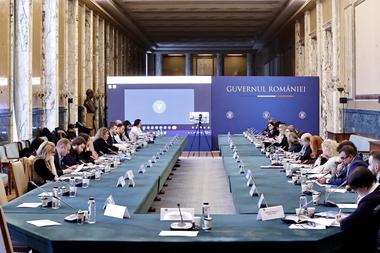 Consultări la Guvern despre proiectul Planului de Acţiune în domeniul sănătăţii mintale / Consolidarea structurilor statului competente în domeniu, dezvoltarea serviciilor de psihiatrie în comunitate, printre obiective