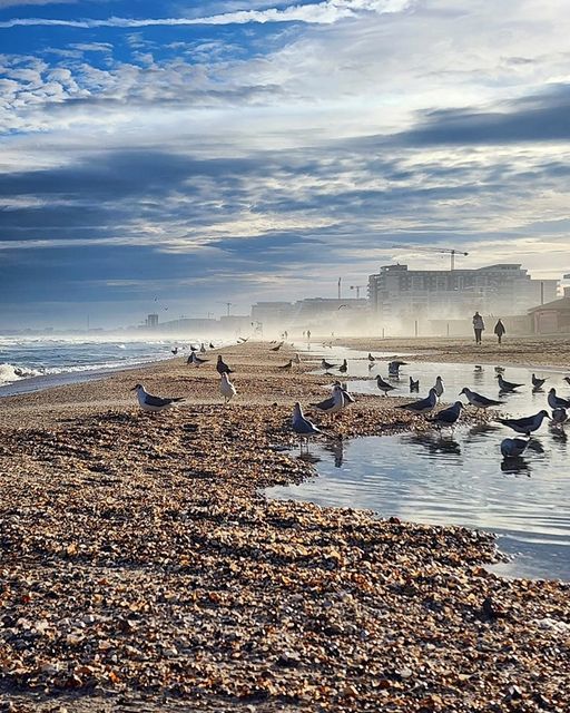 Aproape 50 de subsectoare de plajă de pe litoral vor fi scoase la licitaţie / 38 dintre acestea sunt în Mamaia 