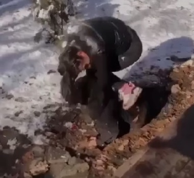 O femeie a cerut pe Facebook ajutor pentru a o găsi pe o adolescentă care a bătut-o pe alta, într-un parc din Ploieşti / Poliţia a deschis o anchetă - VIDEO