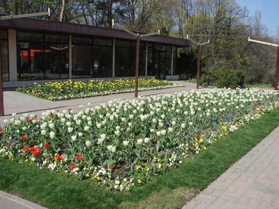 Nicuşor Dan: Cele patru pavilioane Expoflora cu flori exotice din Parcul Regele Mihai I se vor redeschide pentru public în luna mai