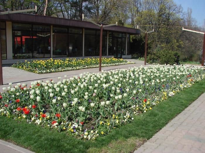 Nicuşor Dan: Cele patru pavilioane Expoflora cu flori exotice din Parcul Regele Mihai I se vor redeschide pentru public în luna mai