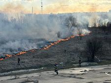 Administraţia Parcul Natural Văcăreşti, despre incendiul de joi: Înţelegem şi regretăm profund impactul pe care acest incident îl are asupra biodiversităţii/ Vom colabora cu auorităţile pentru a revizui şi îmbunătăţi protocoalele de intervenţie