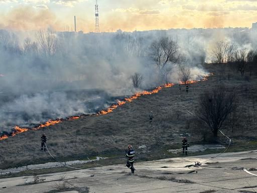 Administraţia Parcul Natural Văcăreşti, despre incendiul de joi: Înţelegem şi regretăm profund impactul pe care acest incident îl are asupra biodiversităţii/ Vom colabora cu auorităţile pentru a revizui şi îmbunătăţi protocoalele de intervenţie