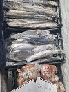 Cherhana din judeţul Constanţa, amendată cu 14.000 de lei de comisarii CJPC/ Printre nereguli, peşte cu aspect de intrare în putrefacţie, mizerie în blocul alimentar, legume cu mucegai şi produse alimentare expirate  - FOTO
