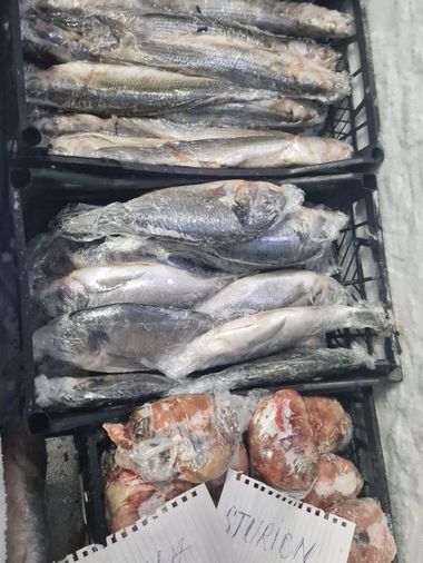 Cherhana din judeţul Constanţa, amendată cu 14.000 de lei de comisarii CJPC/ Printre nereguli, peşte cu aspect de intrare în putrefacţie, mizerie în blocul alimentar, legume cu mucegai şi produse alimentare expirate  - FOTO
