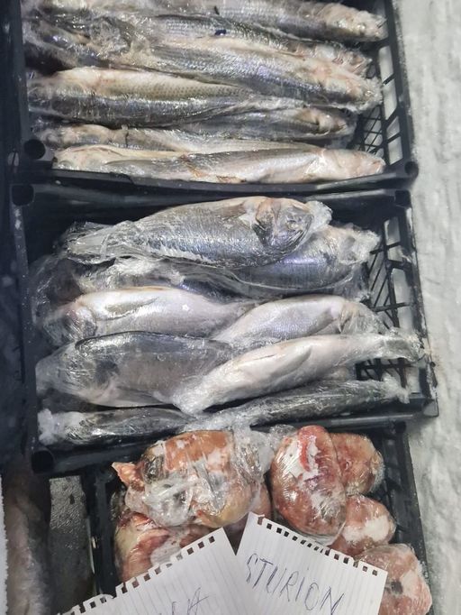 Cherhana din judeţul Constanţa, amendată cu 14.000 de lei de comisarii CJPC/ Printre nereguli, peşte cu aspect de intrare în putrefacţie, mizerie în blocul alimentar, legume cu mucegai şi produse alimentare expirate  - FOTO
