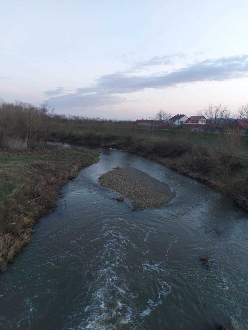 Satu Mare: Râul Crasna, poluat cu dejecţii de la o fermă de bovine/ Specialiştii au luat probe de apă, urmând să anunţe sancţiuni la finalizarea analizelor