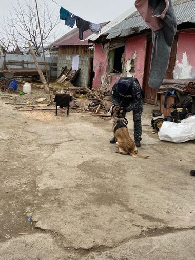Acţiune a poliţiştilor din Suceava într-un cătun unde trăiesc zeci de copii care au acumulat sute de absenţe şcolare. Într-o familie, a fost găsit un adolescent care în acte nu există - FOTO
