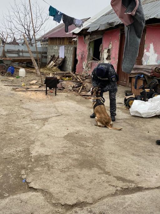 Acţiune a poliţiştilor din Suceava într-un cătun unde trăiesc zeci de copii care au acumulat sute de absenţe şcolare. Într-o familie, a fost găsit un adolescent care în acte nu există - FOTO
