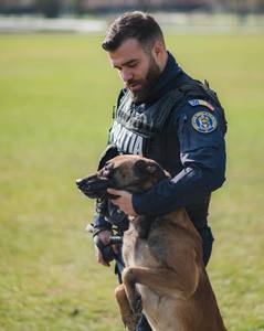 Poliţia Română scoate la concurs 60 de posturi de agent şi conductor de câini. Termenul de depunere a dosarelor este 3 aprilie / Dragostea pentru animale este primul criteriu, „nescris” / Care sunt celelalte condiţii pentru înscriere
