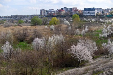 Nicuşor Dan: Pentru ca Delta Văcăreşti să rămână un loc curat şi primitor pentru toţi vizitatorii, dar şi pentru animalele care trăiesc aici, este nevoie de curăţarea deşeurilor / Sâmbătă, acţiune de ecologizare a zonei