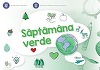Guvernul a aprobat ca Ministerul Educaţiei să primească 100 milioane lei, din Fondul de mediu, pentru Programul „Săptămâna verde”