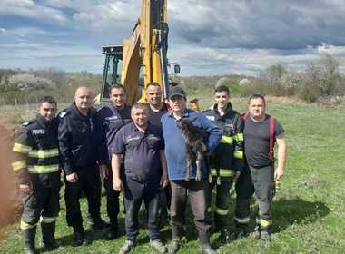Prahova: Intervenţie de patru ore a pompierilor, pentru salvarea unui ied căzut într-o canalizare dezafectată - FOTO