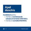 Ministerul Educaţiei lansează apelul de candidaturi în vederea ocupării poziţiilor de membru CNATDCU, mandatul 2024 - 2028
