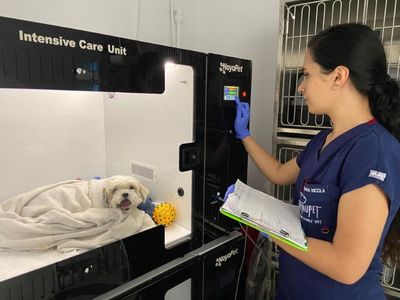 Platforma PartnerVet anunţă preluarea clinicii veterinare Patrupet: Achiziţia marchează primul pas în consolidarea serviciilor medicale veterinare de excelenţă, în România