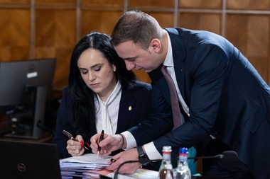 Ministerul Muncii: Noutate pe piaţa muncii - persoanele fizice pot angaja şi plăti legal personal pentru activităţi casnice. Prestatorii beneficiază de drepturi pe care le au şi angajaţii