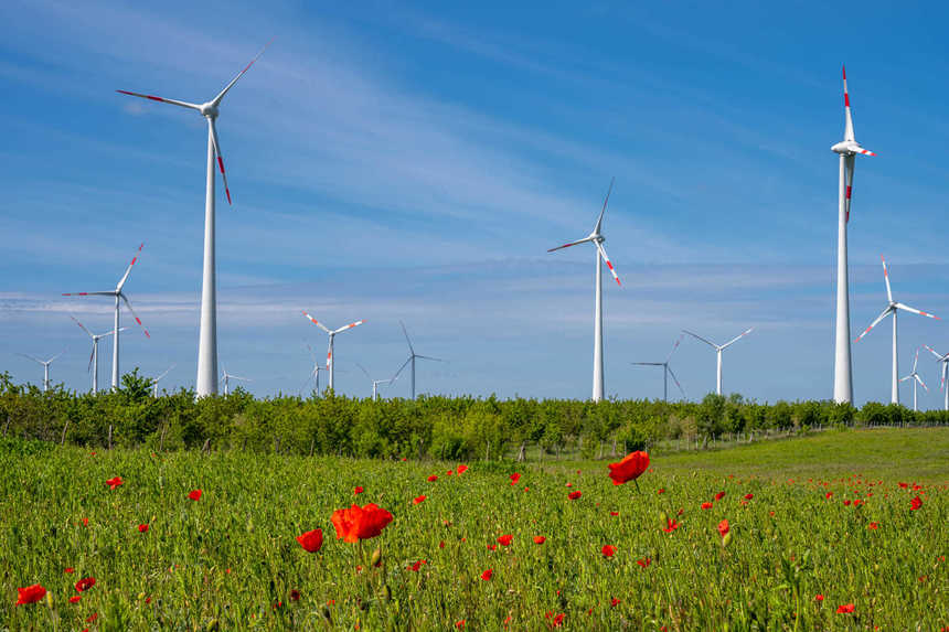 Acorduri de mediu pentru patru parcuri eoliene în judeţul Caraş-Severin / Fechet: Suntem datori să identificăm soluţii pentru protejarea naturii şi a umanităţii
