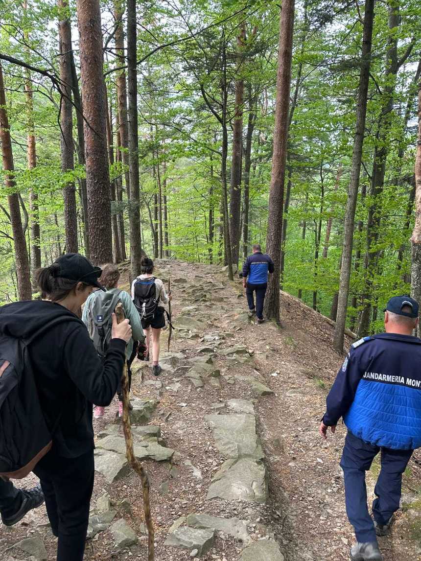 Bacău: Mai mulţi turişti, între care un cetăţean britanic, ajutaţi de jandarmi după ce au observat patru urşi, pe traseul 300 de scări din staţiunea Slănic Moldova
