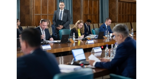 Guvernul a adoptat o OUG care majorează, cu 10% din ISR, indemnizaţiile lunare pentru adultul cu handicap grav şi pentru copilul cu handicap grav / Indemnizaţiile vor fi majorate cu drepturile aferente lunii iunie care vor fi plătite în iulie