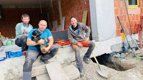Cluj: Operaţiune de opt ore pentru salvarea unui câine care a intrat într-o vizuină de vulpe, sub fundaţia unei case / A intervenit un câine specializat, care a lucrat şi la căutarea victimelor cutremurului din Turcia - FOTO