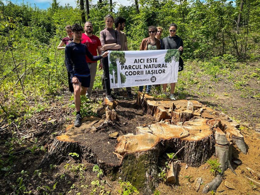 Marş pentru protejarea pădurilor, organizat sâmbătă, la Iaşi. Organizatori: Arborii remarcabili şi, odată cu ei, secole de istorie vie sunt, de multe ori, puşi pe foc în numele „regenerării” pădurii