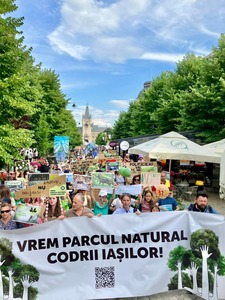 Câteva sute de persoane au participat la acţiunea de protest a organizaţiilor de mediu care au tras un semnal de alarmă privind distrugerea pădurilor din jurul Iaşiului
