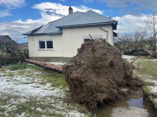 Bistriţa-Năsăud: Aproximativ 240 de gospodării din localitatea Săsarm, afectate de vijelia pentru care s-a emis Cod roşu/ Au fost doborâţi copaci, au fost deteriorate acoperişuri şi au fost sparte ferestre - FOTO, VIDEO