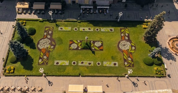 Covor floral în Piaţa Victoriei din Timişoara, inspirat din floarea naţională, bujorul / S-au folosit 77.000 de flori