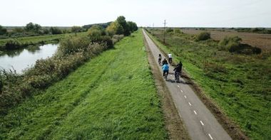 Anchetă internă la IPJ Timiş cu privire la modul de intervenţie a poliţiştilor, după ce o tânără a fost muşcată de câini pe pista de biciclete care leagă Timişoara de Serbia