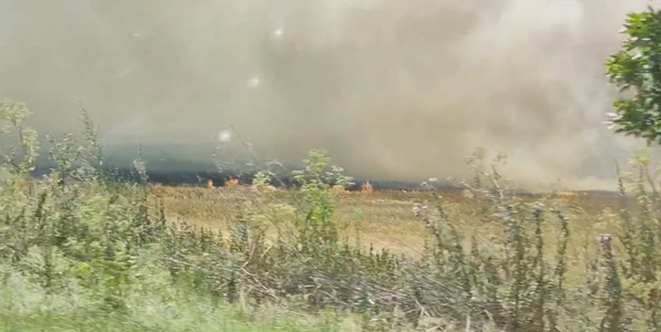 UPDATE - Incendiu de pe marginea DN 1, între Ploieşti şi Braşov, a fost lichidat - VIDEO